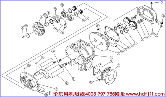 羅茨風(fēng)機結(jié)構(gòu)圖.jpg