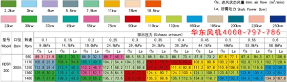 羅茨風(fēng)機300口徑參數(shù).jpg