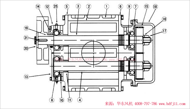 三葉羅茨風(fēng)機內(nèi)部結(jié)構(gòu)圖-縱切圖.jpg